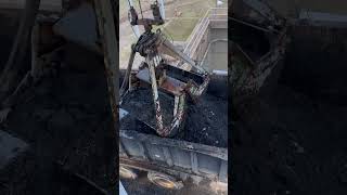 Where Does It Go After You Flush The Toilet?