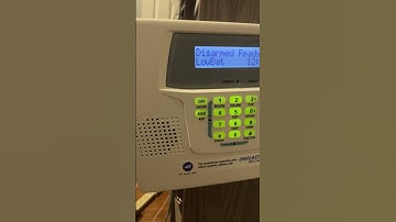 I got a lynx plus 2!