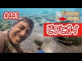 ビワヒガイ水中映像!琵琶湖内の様子を紹介!