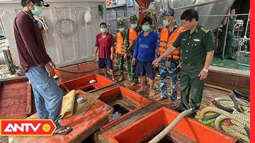 Hải Đoàn 28: Bắt Giữ Tàu Chở Khoảng 16.000 Lít Dầu DO Không Nguồn Gốc | Tin Tức 24h | ANTV
