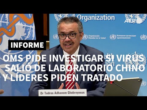 Vídeo: ¿Un Experimento Genético Escapado De Un Laboratorio Chino? - Vista Alternativa