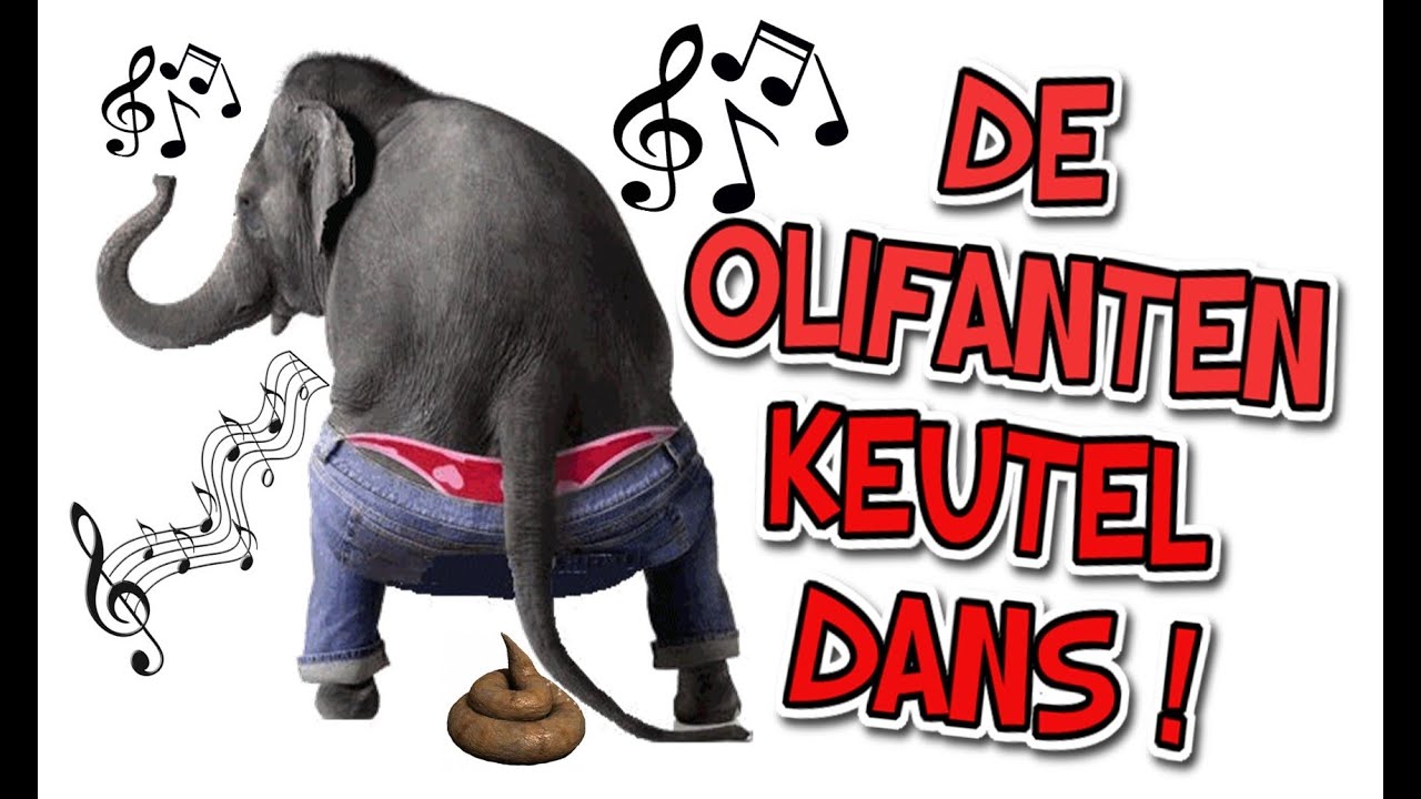 water tactiek plastic VIEZE GRAPPIGE LIEDJES | DE OLIFANTEN KEUTEL DANS! | Grappige muziek! -  YouTube