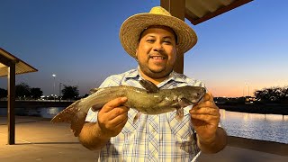 Fishing the Pacific Pond Yuma Az. with Danny Kings Punch Bait.🎣🤘🏽.