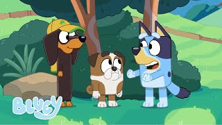 Going to School with Bluey! | Bluey