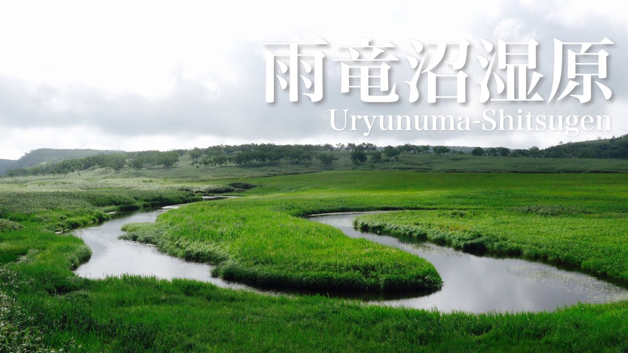 ヒグマの巣窟 雨竜沼湿原と南暑寒岳 | 北海道登山 #19