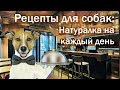 Рецепты для собак