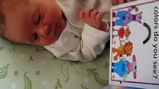 MVI_4381.AVI