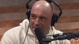 Joe Rogan Stops Podcast With Pete Dominick