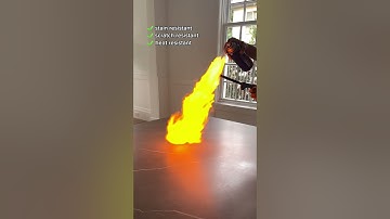 Italian Ceramic Dining Tables: The Must-Have for Any Home