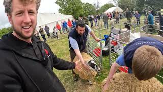 SHEEP SHOW AND A TUG OF WAR  |  Fife Show 2022