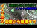 【狩猟】Vol.1 田んぼを荒らすイノシシを捕獲する!簡単なくくり罠の設置手順で、神経質にならなくても捕獲できる?(有害鳥獣捕獲) 【わな猟】