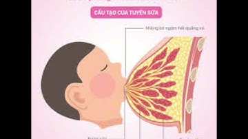 Chữa tắc tia sữa tại nhà