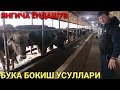 Бука бокиш бизнеси. Андижонча ёндашув