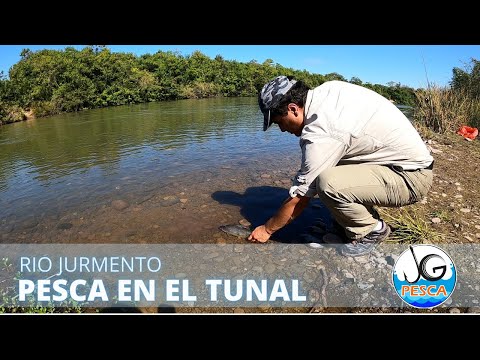 PESCA EN EL TUNAL | SALTA | RIO JURAMENTO| pesca de bogas | PESCA Y COCINA |FISHING