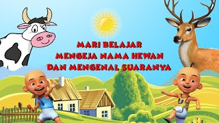 BELAJAR MENGEJA NAMA SERTA SUARA  HEWAN SAPI, KUDA & RUSA | KARTUN LUCU | ANIMASI INDONESI