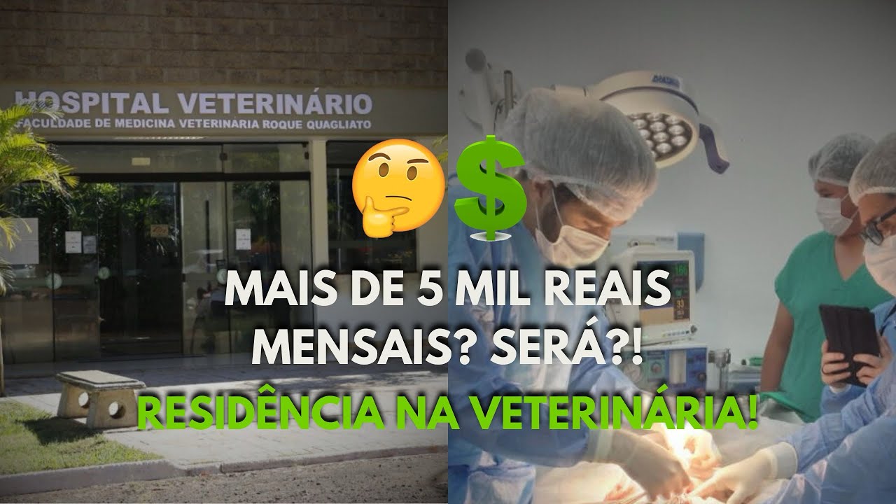 Quanto ganhar por mês um Médico Veterinário residente? O valor vai te ...