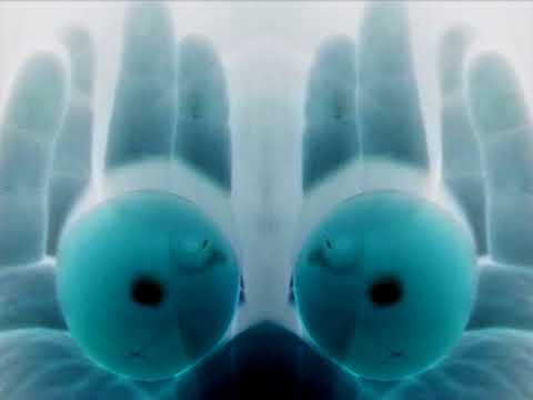 EKSPERIMENTINIS FILMAS "KOSMINIS KIAUŠINIS"/"The Cosmic Egg"