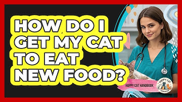 How Do I Get My Cat To Eat New Food? - Happy Cat Handbook