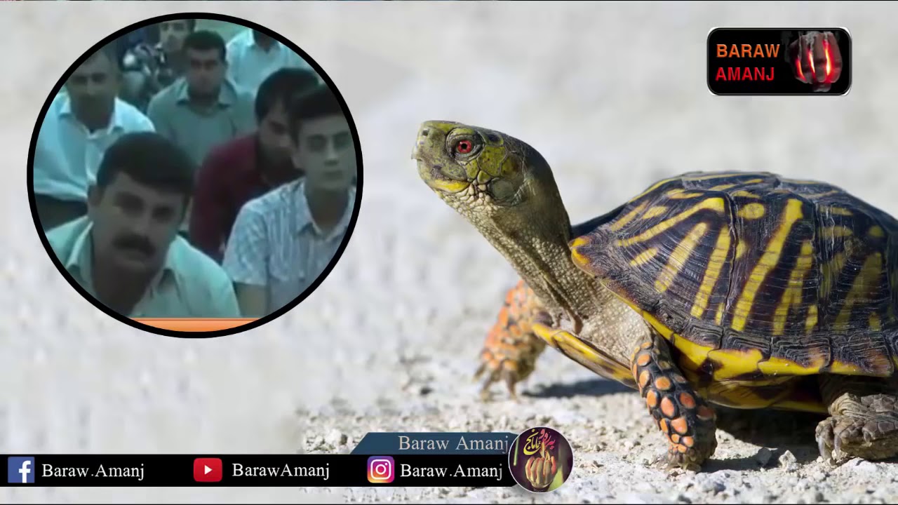 ماشاالله باسی کیسەڵهەر زۆر بەهێزە گوێ بگرن لە مامۆستا فاتیح Mamosta Fatih Basi Kisal 🅷🅳