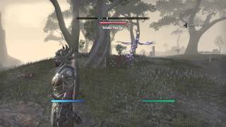 The Elder Scrolls Online: Bangkorai Treasure Map II