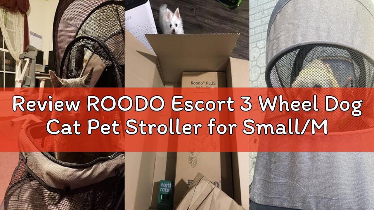 Review ROODO Escort 3 Wheel Dog Cat Pet Stroller for Small/Medium Dogs Cats Best Lightweight Foldabl