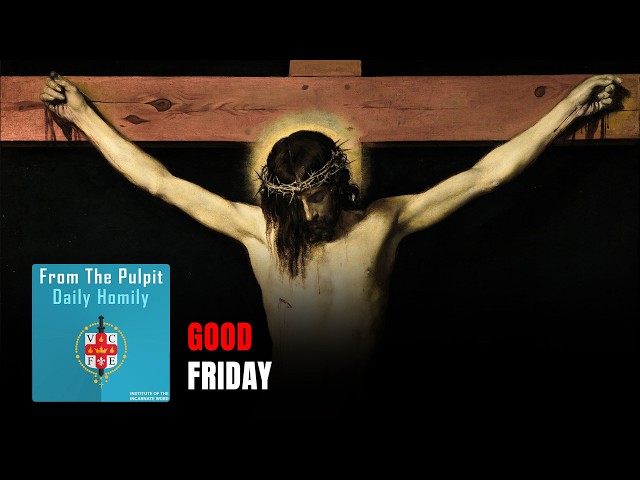 Daily IVE Homilies, April 3rd, 2026 - Good Friday