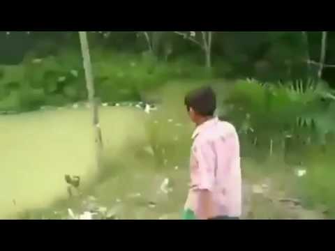 kumpulan-video-ngakak-lucu...😂😂😂