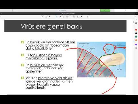 #biyoloji #genel biyoloji BÖLÜM 18:  Virüs ve Bakteri Genetiği-1 #genel biyoloji