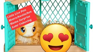 Little Live Pets ❤️Meerschweinchen❤️ Mama Surprise❤️ interaktives Spielzeugset