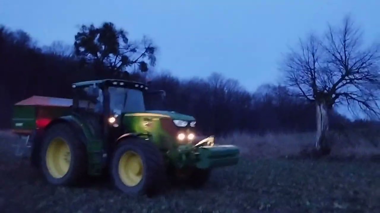 pierwsze dawki azotu na rzepak