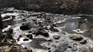 Zen Reflections (The Bubbling Brook)