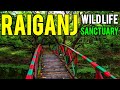 Raiganj  raiganj wildlife sanctuary  raiganj tourist places  kulik bird sanctuary  kulik forest