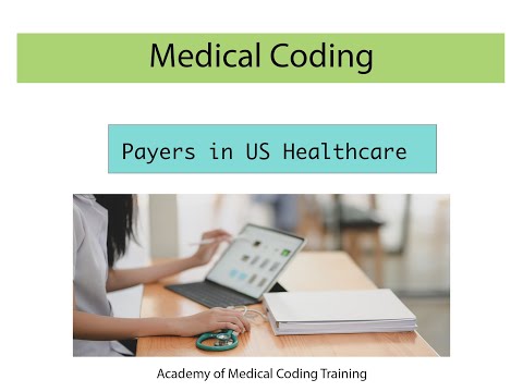 Payers in the US Healthcare