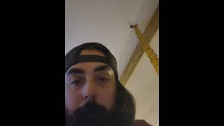 Albino pied ball python update