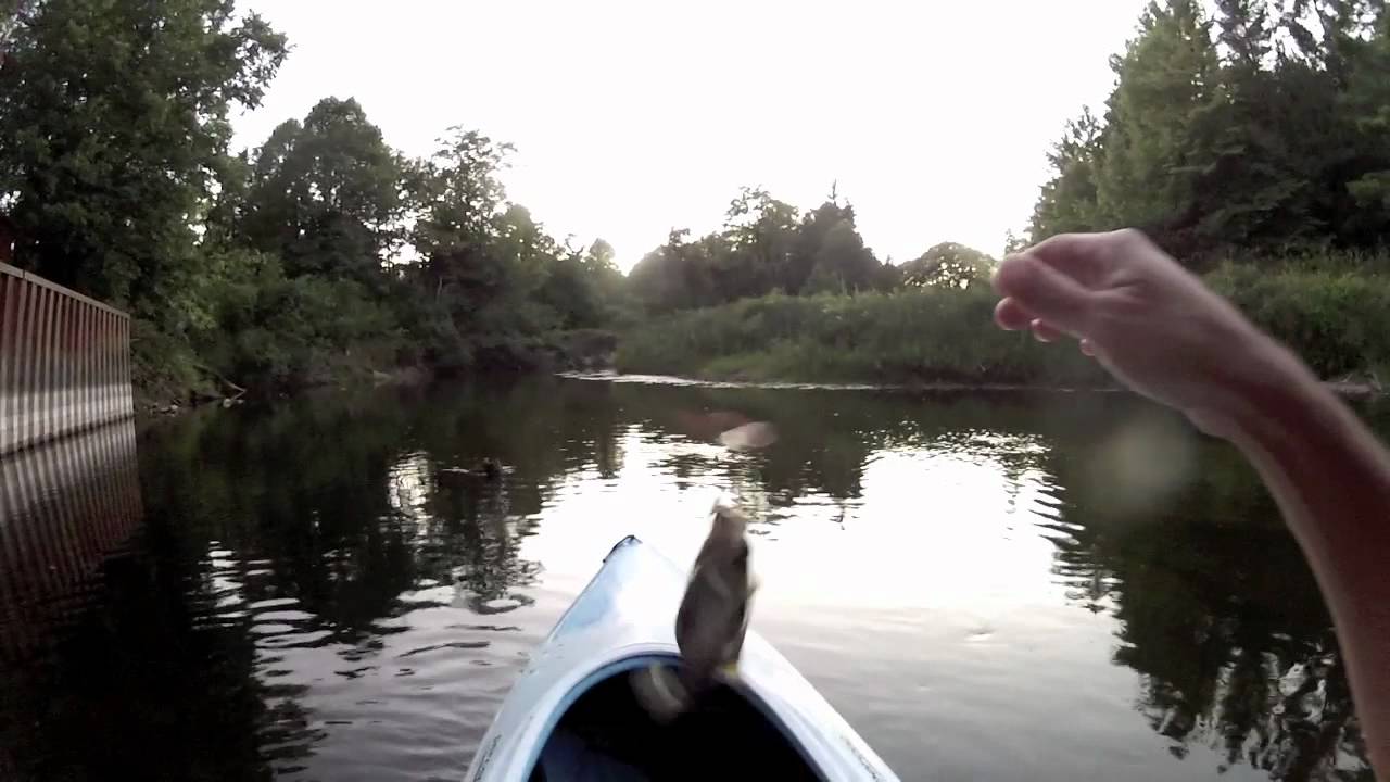Kayak Fishing Van Etten Creek YouTube