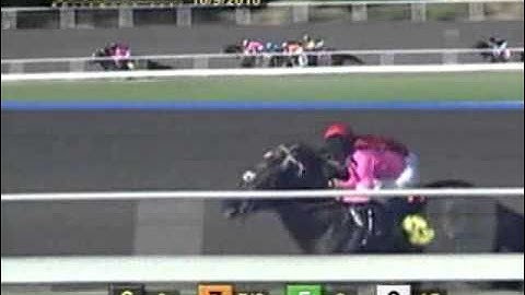 2010 Ancient Title Stakes