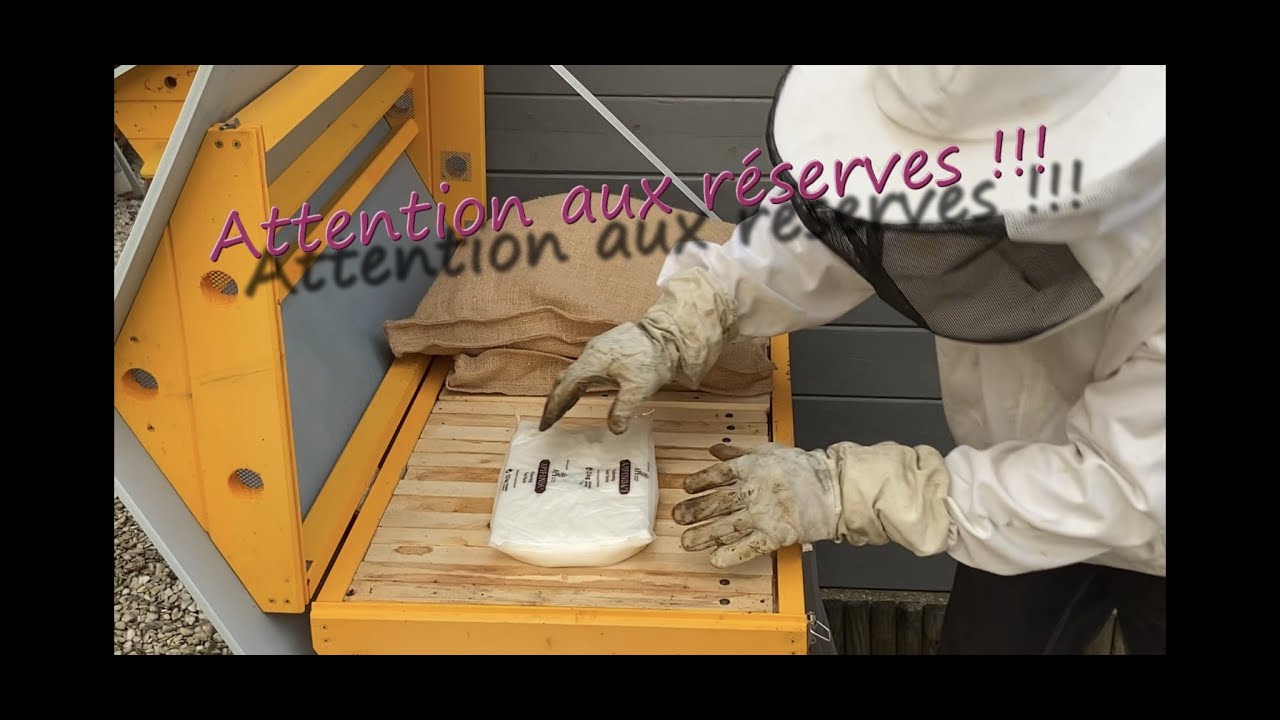 Attention aux réserves de miel. Obligé de nourrir sur un rucher de kényanes