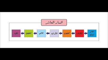 مسارات الاداء في التلاوة - المسار العاشر- الكرد وفروعه