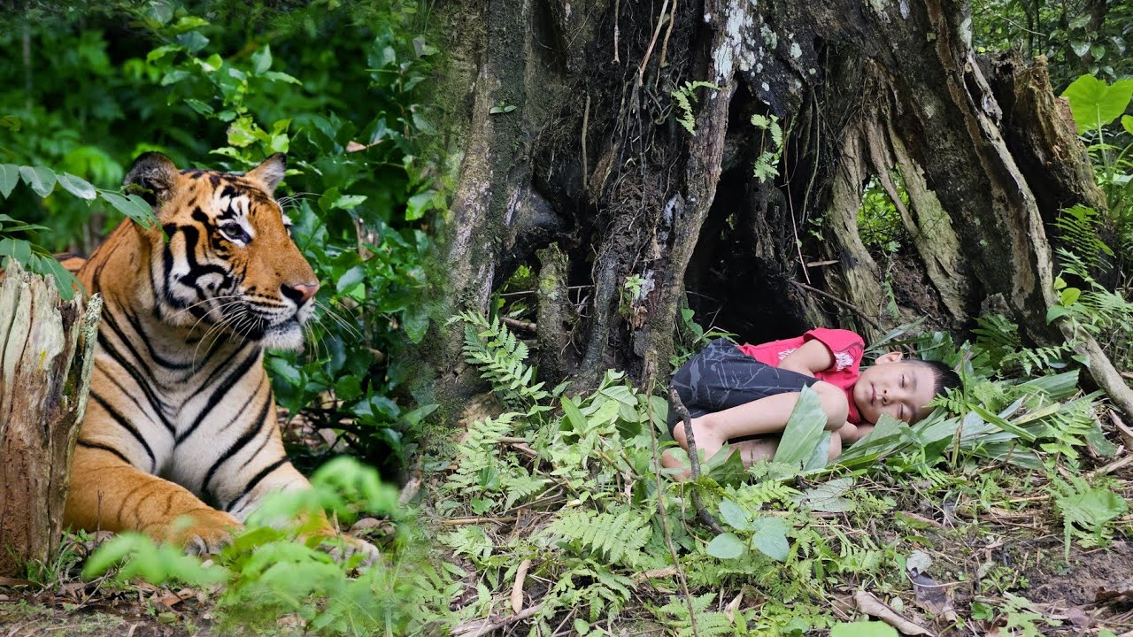 Single mother - trying in vain to find her lost child in the forest ...
