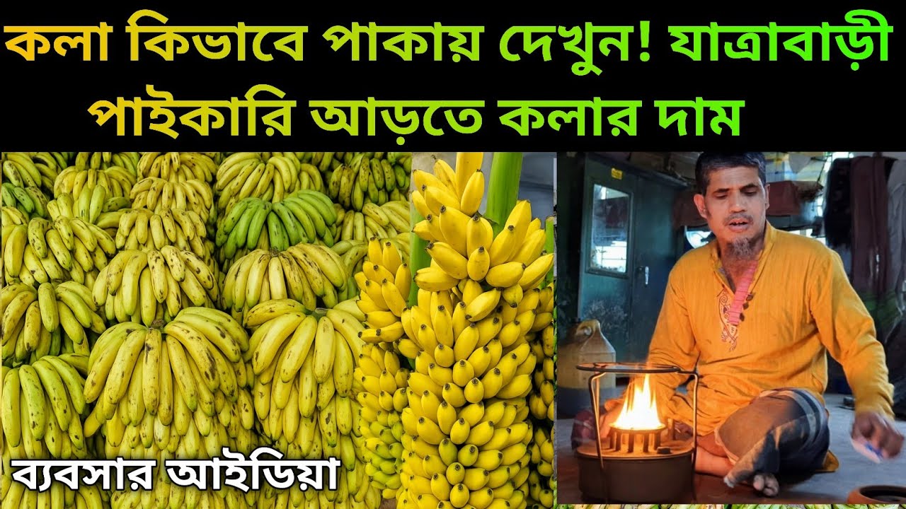 যাত্রাবাড়ী আড়তে কলার পাইকারি দরদাম | কোথায় সস্তায় কলা পাবেন | কলার ব্যবসা শুরু করবেন যেভাবে