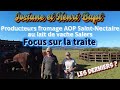 Josiane et henri producteurs de saint nectaire au lait de vache salers une denre rare 