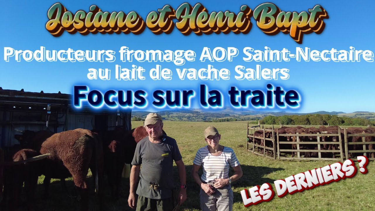 Josiane et Henri producteurs de Saint Nectaire au lait de vache Salers une denre rare 