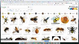 Finding Transparent Images screenshot 5