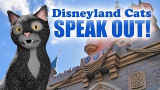 Disneyland Cats Speak Out