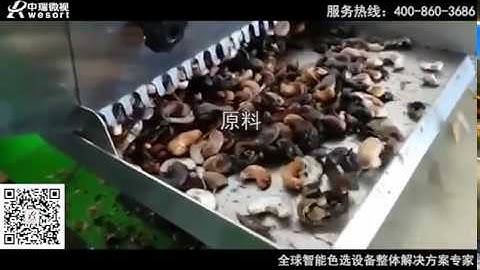 Cashew nut color sorter