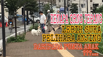 ALASAN || CEWE JEPANG || GAK MAU MENIKAH