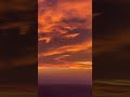 Лучший закат этого года #закат #природа #sunset #birdofprey