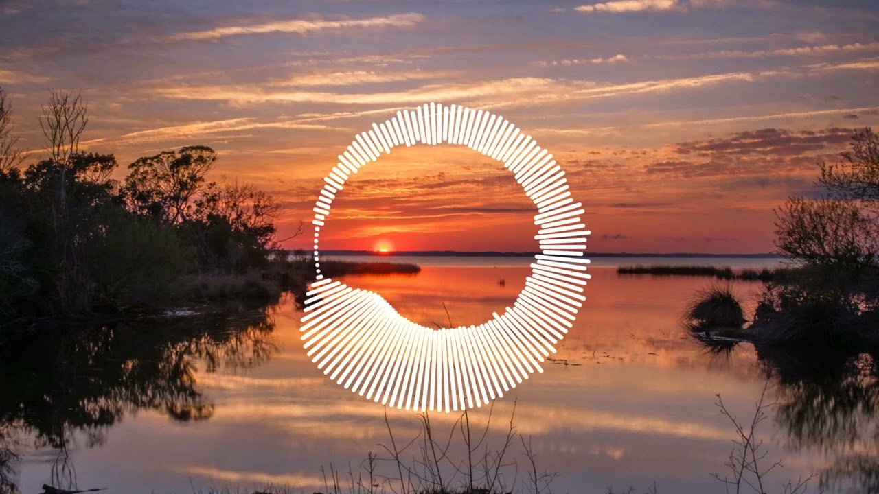 Marco V - Counterpoint