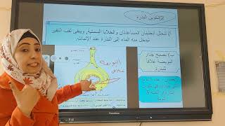 من وظائف الزهرة رابعا تكوين الثمرة والبذرة للصف الثالث الثانوي للأستاذة لمياء عطية