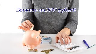 Выжить на 2850 рублей. День 2.